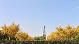 华东政法大学2022MPAcc招生简章