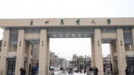 东北农业大学2022MBA招生简章