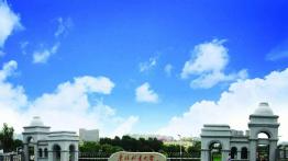东北林业大学2022MEM招生简章