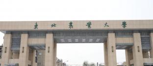 东北农业大学2022MPAcc招生简章