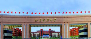 山东科技大学2022MLIS招生简章