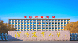 沈阳农业大学2023MAE招生简章